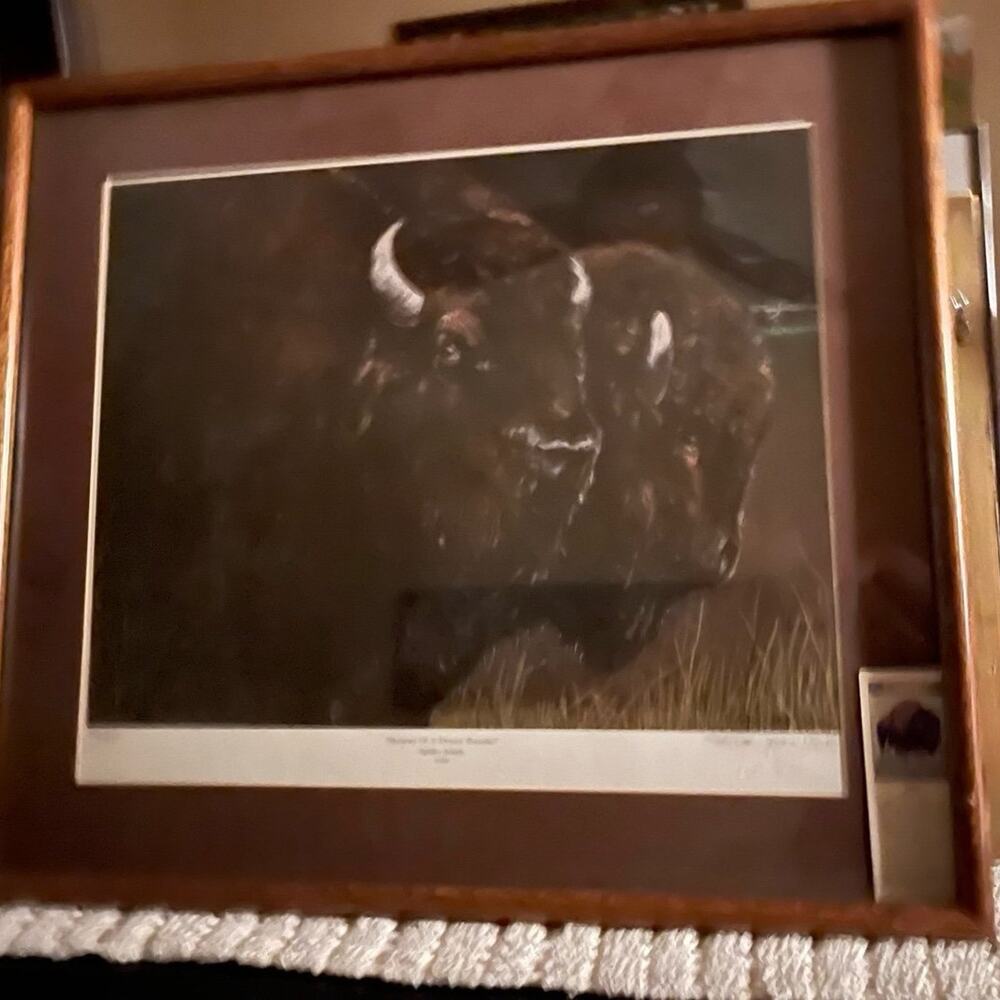Framed Bison print art signed by artist 1990